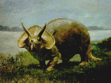 Triceratops